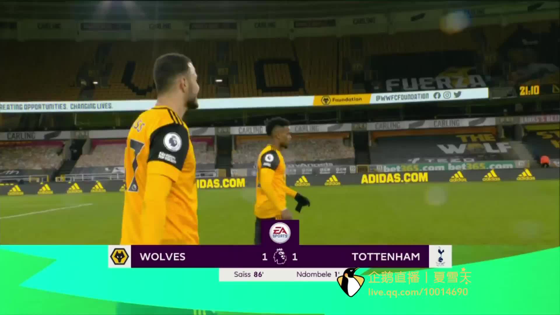 布莱顿不仅 布莱顿不仅